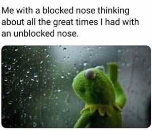 blocked nose